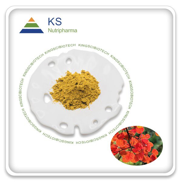 Физетин на прах