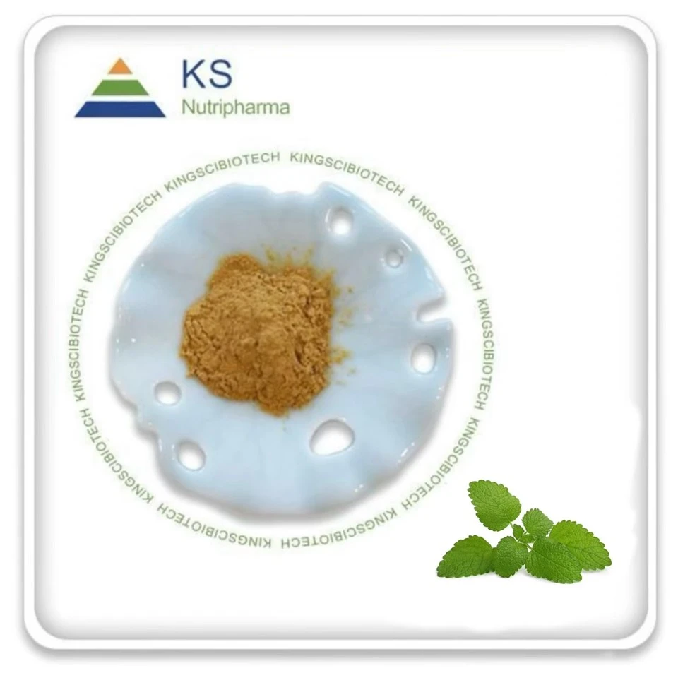 Прах от екстракт от Melissa Officinalis