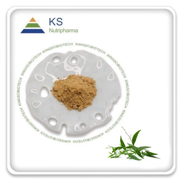 Andrographis Paniculata Прах