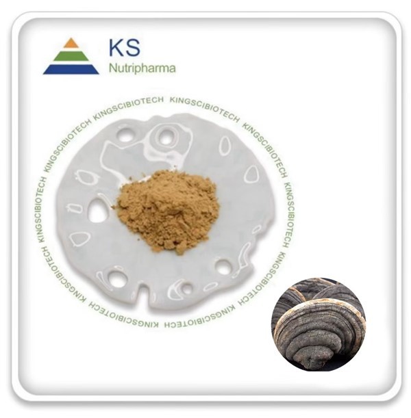 Екстракт от Phellinus Linteus