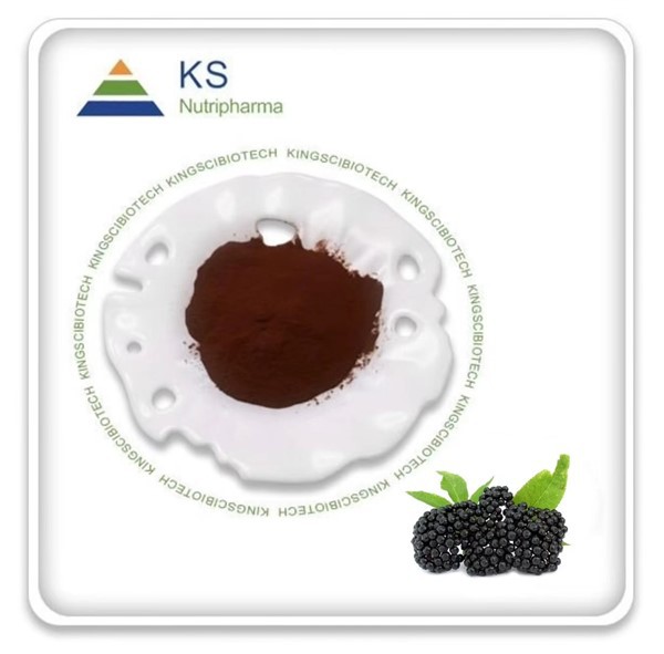 Екстракт от Самбукус